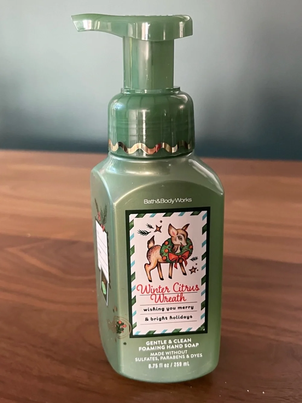 Bath & Body Works Winter Citrus Wreath Foaming Hand Soap - Green